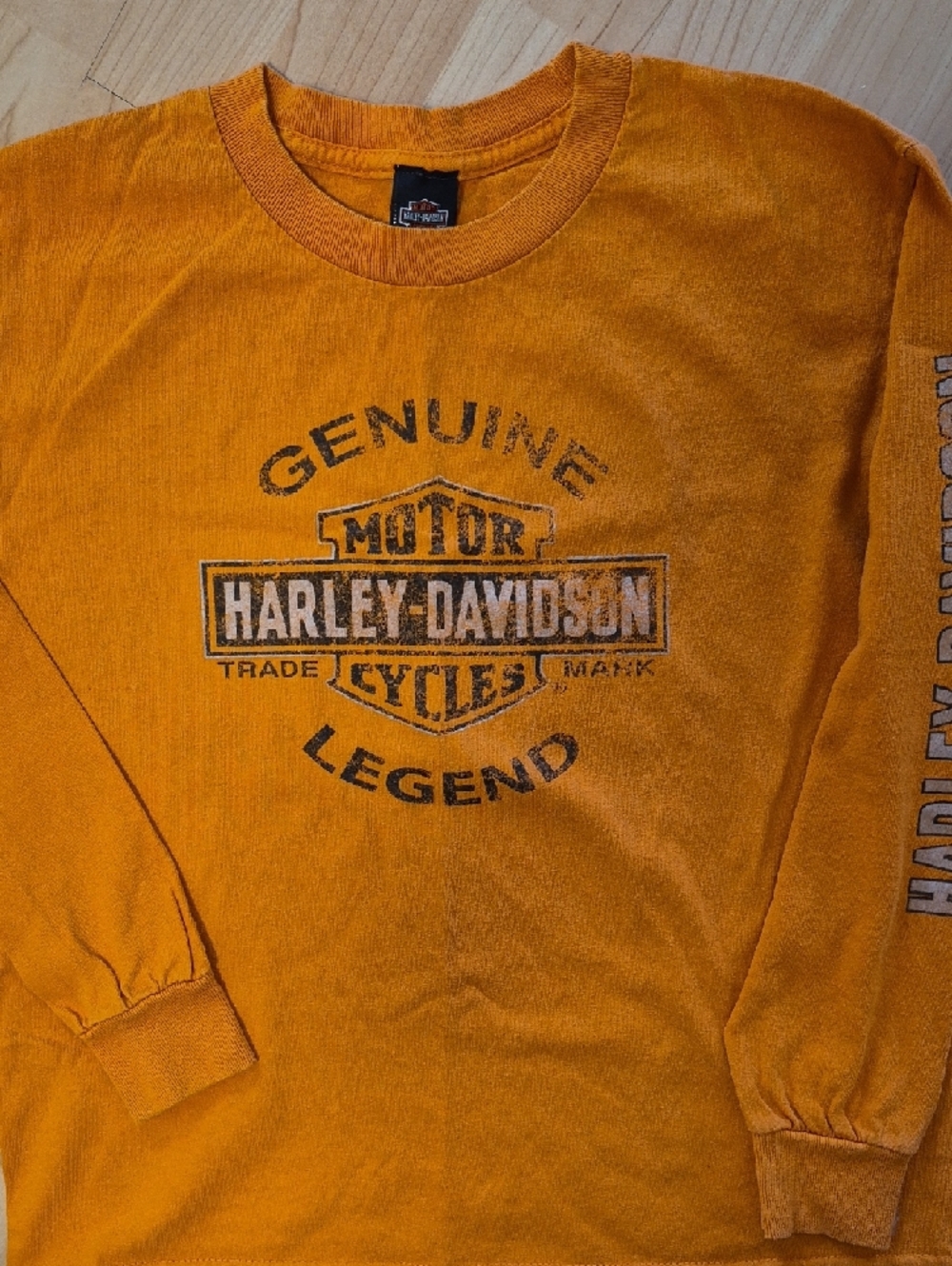 Harley-Davidson Orange Distressed Logo Long Sleeve Shirt, Youth